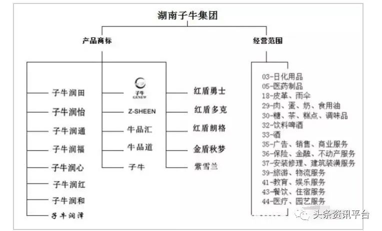 湖南子牛集團更名子康生活，沉寂兩年后攜新定位“重出江湖”